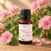 geranium_illoolaj_web